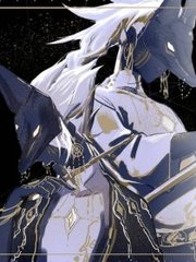 猫咪网最新入口